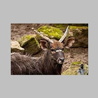 2025_03_01_OPEL_Zoo_IMG_5895.jpg